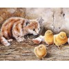 Cat & Chicks - Paint by Diamonds