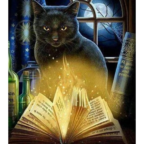Black Cat & Magic Book