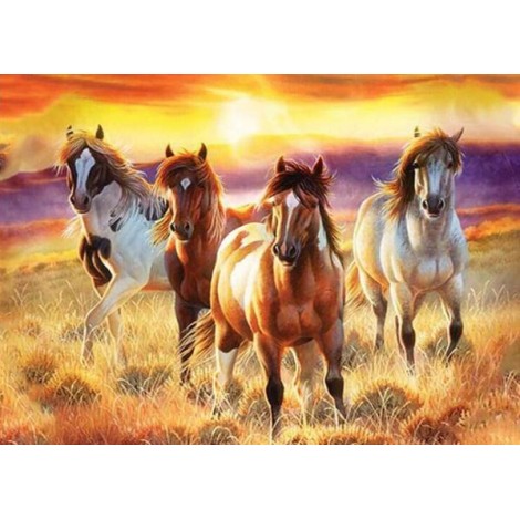 Setting Sun & Beautiful Horses