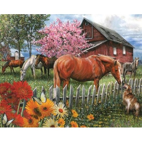 Dog & Horses on the Farm House