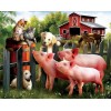 Cats, Dogs, Pigs & Horses