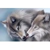 Wolves Pair in Love