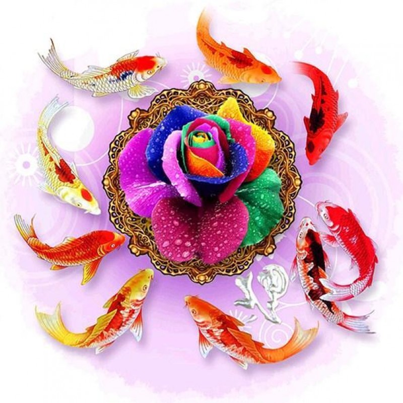 Rainbow Rose & K...