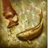 Gold Coins & Fish Diamond Painting