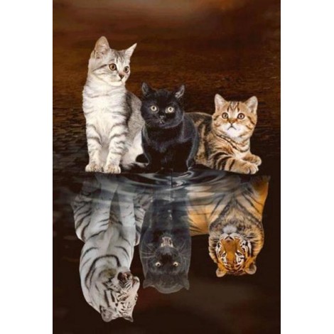 Little Cats Dreaming Big Diamond Painting