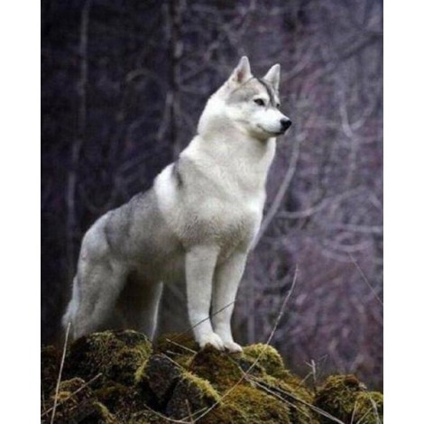 Serbian Husky - Paint with Diamonds