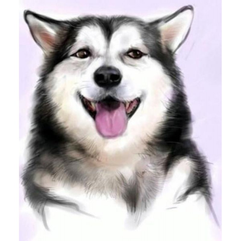 Happy Husky - Paint ...
