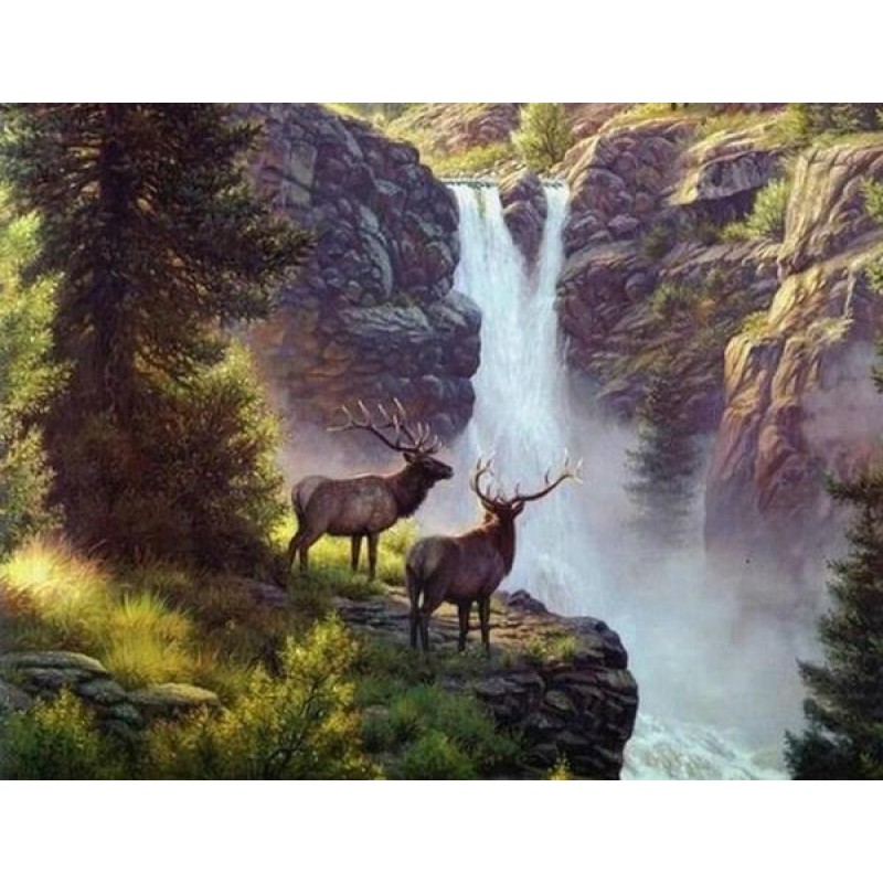 Elks at Waterfall - ...