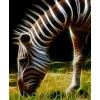 Grazing Zebra - Diamond Art Kit