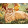 Ginger Cat - Paint by Diamonds