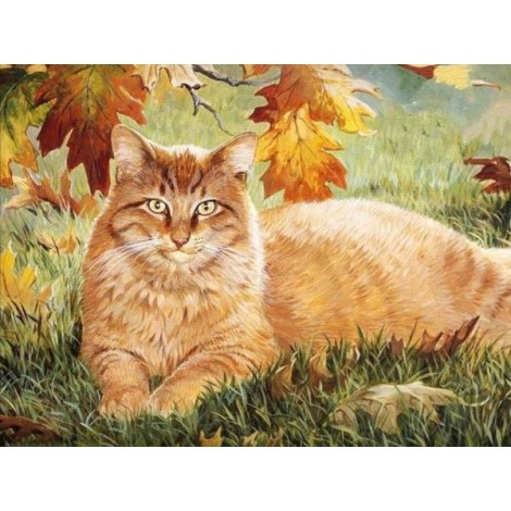 Ginger Cat - Paint by Diamonds