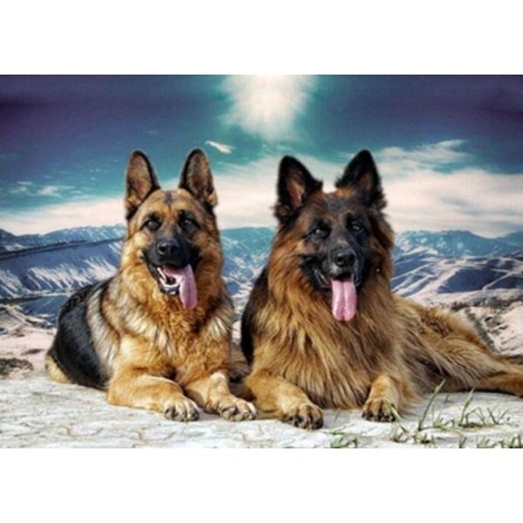 German Shepherd Dogs Pair