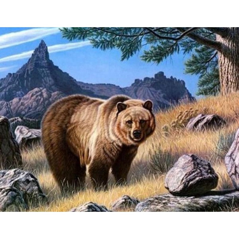 Gazing Bear - Paint ...