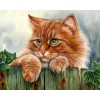 Cute Ginger Cat with Green Eyes
