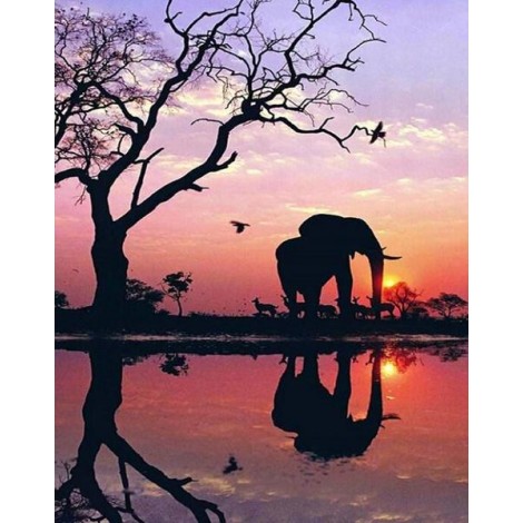 African Elephant & Sunset View