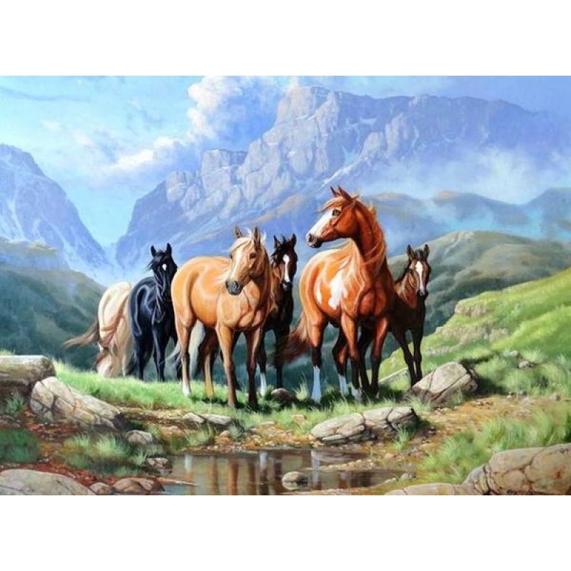 Wild Horses - Paint ...