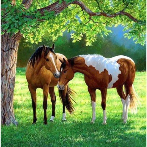 Horses Pair Under the Tree