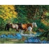Horses at Water Stream