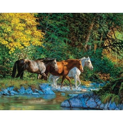 Horses at Water Stream