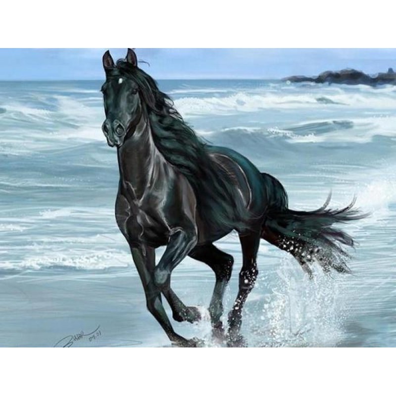 Black Horse Running ...