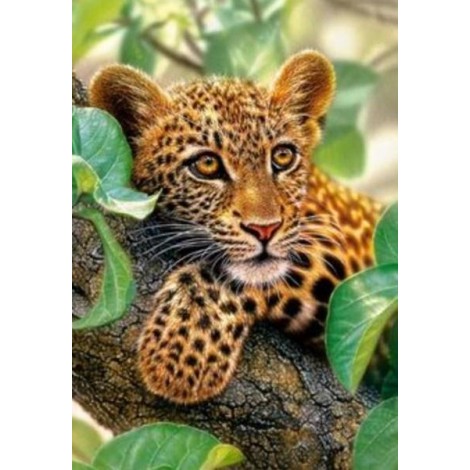 Tree Hugger Leopard Cub