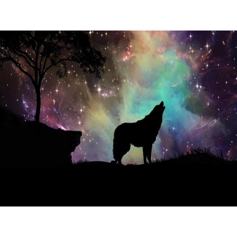 Northern Lights &amp...
