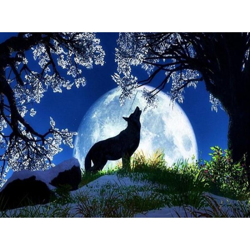 Full Moon & Howl...