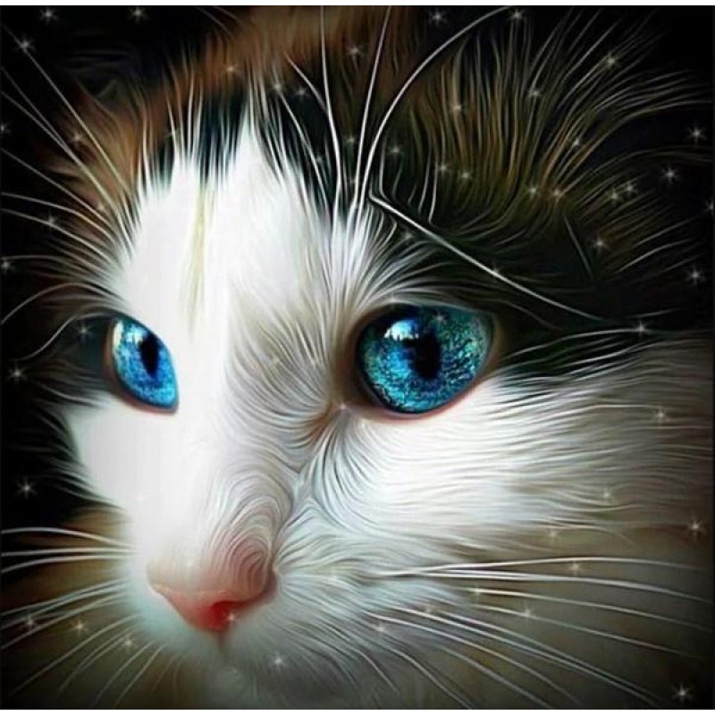 Fascinating Cat with...