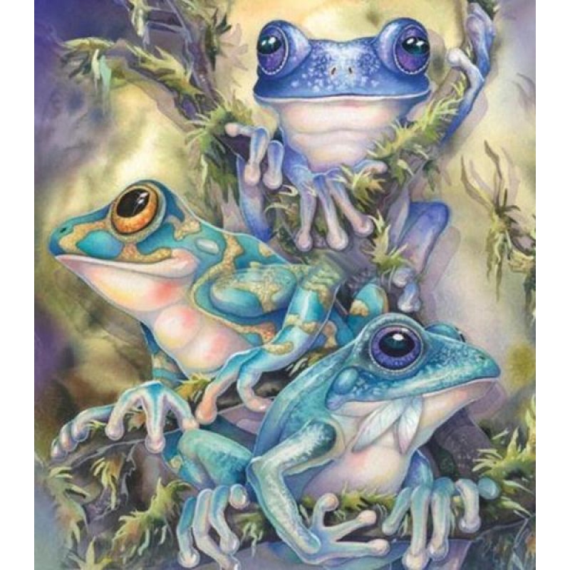 Colorful Frogs - Pai...