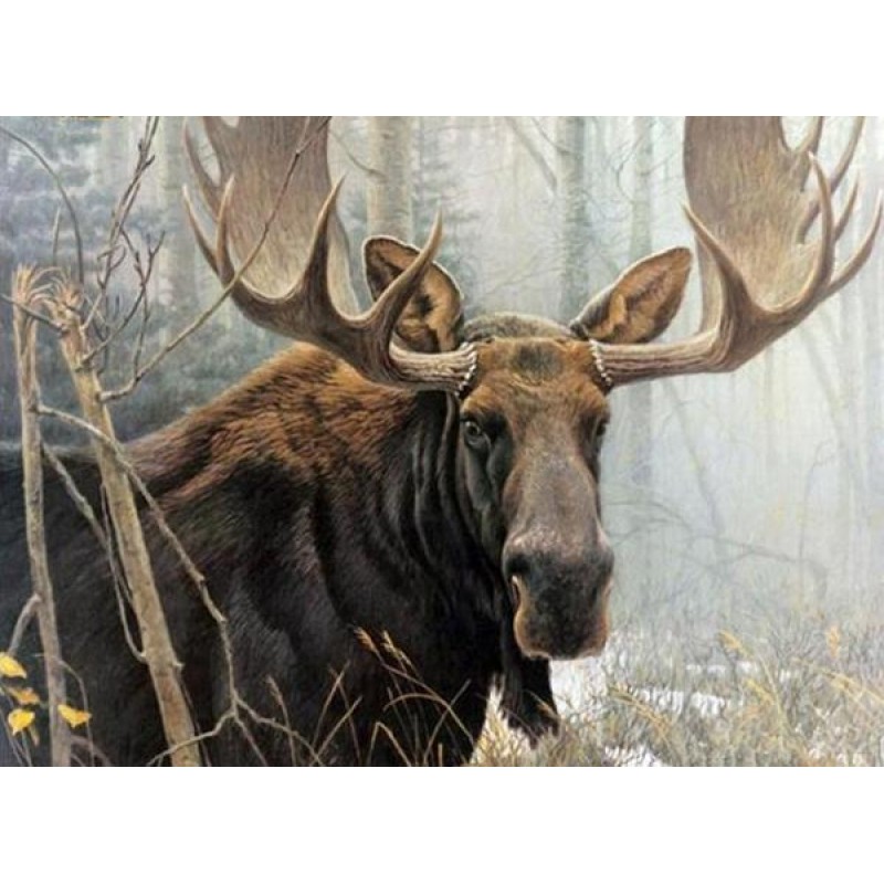 Bull Moose - Paint w...