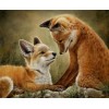 Fox Cubs - Paint by Diamonds