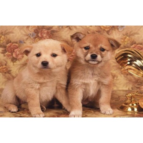 Cutest Puppies Diamond Painting Kit