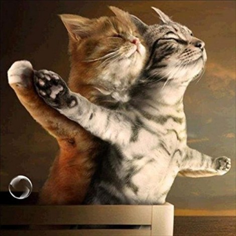 Titanic Cats Diamond Painting kit