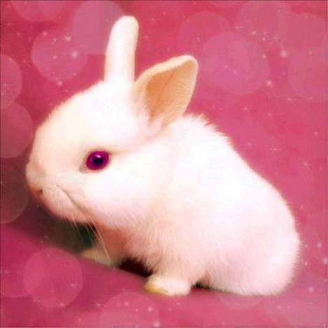Pink Bunny - Diamond Painting Kit