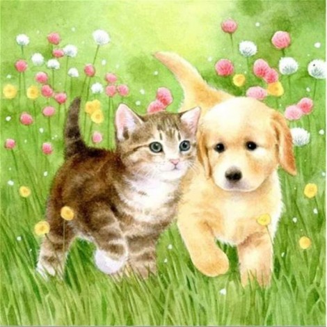 Kitten & Puppy in Garden