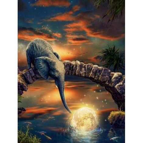 Baby Elephant at Fantasy Place