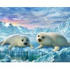 Seals Pair - Paint by Diamonds