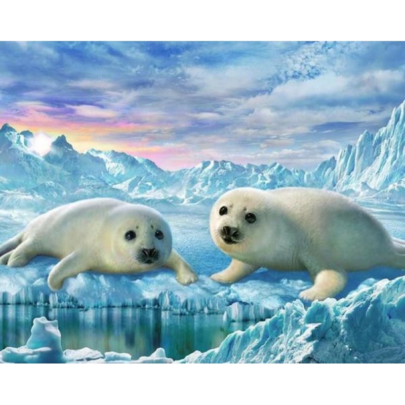 Seals Pair - Paint b...