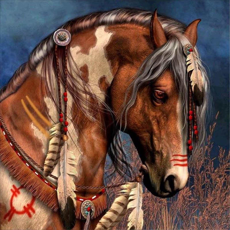 Cherokee Native Amer...