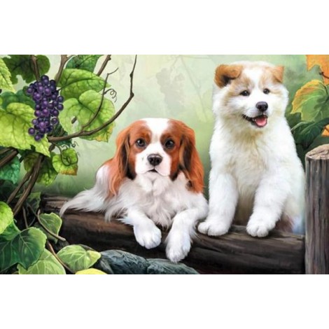 Cute Dogs & Bunch of Grapes