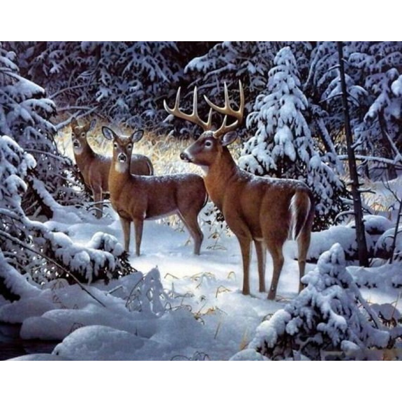 Christmas Elk - Pain...