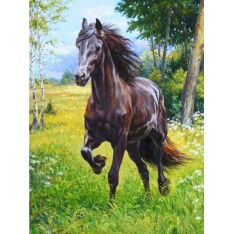 Horse Running in the Meadows