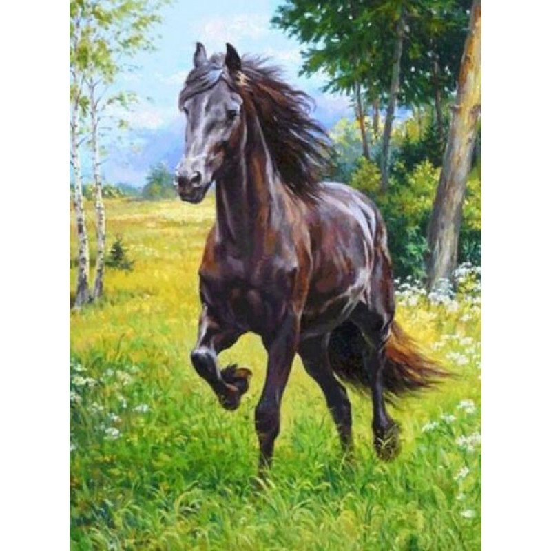 Horse Running in the...