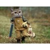 Funny Gangster Cat & Puppy