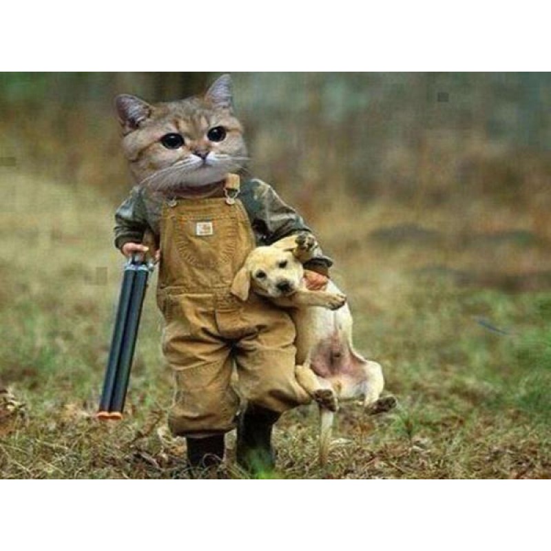 Funny Gangster Cat &...