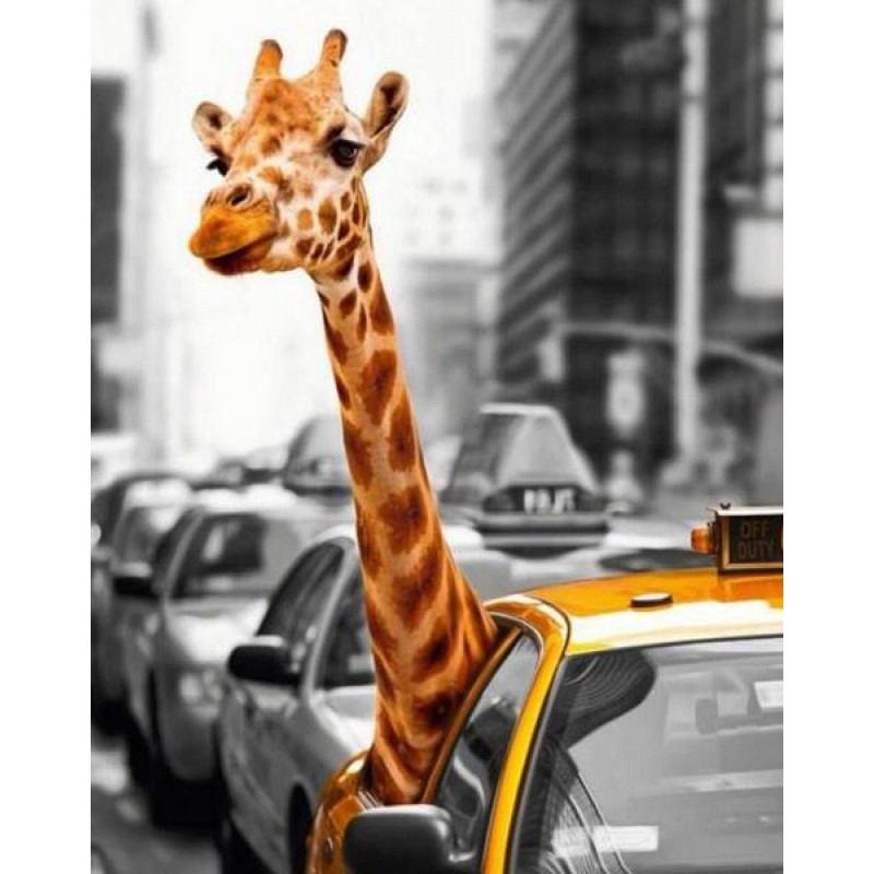 Giraffe Travelling i...