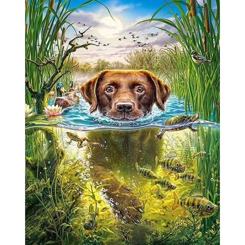 Swimmer Dog - Paint ...