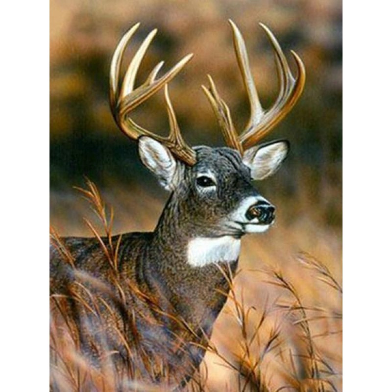 Buck Deer - Paint with Di...