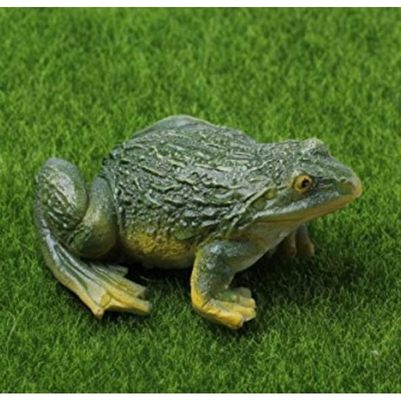 Frog - Paint by Diam...