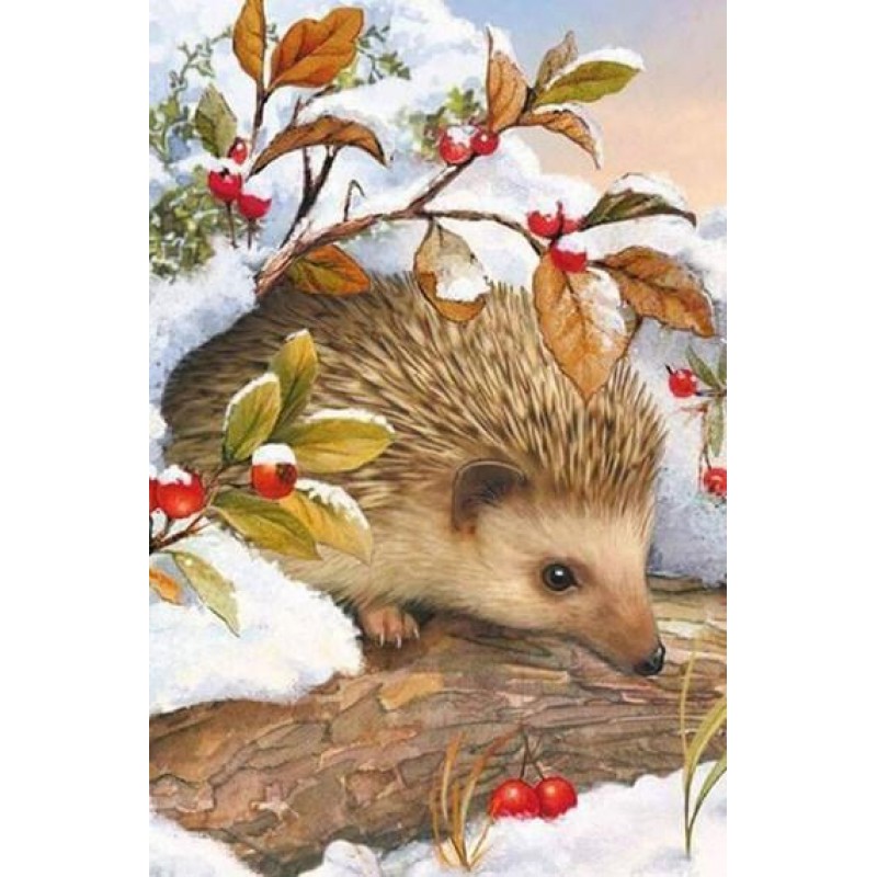Hedgehog In Snow - P...